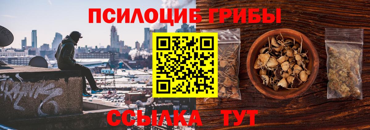 Кизляр  Галлюциногенные грибы Psilocybine cubensis  Вход с VPN  Галлюциногенные грибы GOLDEN TEACHER 